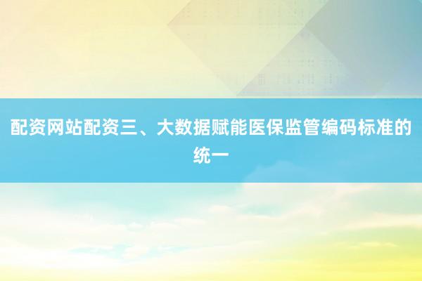 配资网站配资三、大数据赋能医保监管编码标准的统一