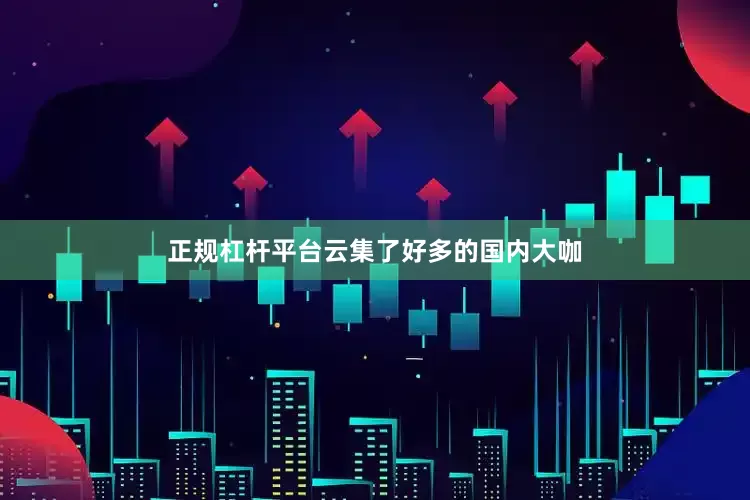 正规杠杆平台云集了好多的国内大咖