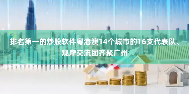 排名第一的炒股软件粤港澳14个城市的16支代表队、观摩交流团齐聚广州