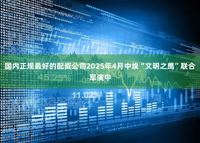 国内正规最好的配资公司2025年4月中埃“文明之鹰”联合军演中