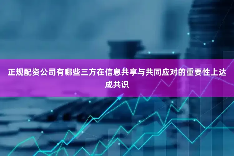 正规配资公司有哪些三方在信息共享与共同应对的重要性上达成共识
